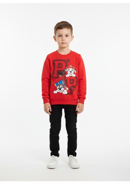 Hayvan Desenli Erkek Çocuk Sweatshirt