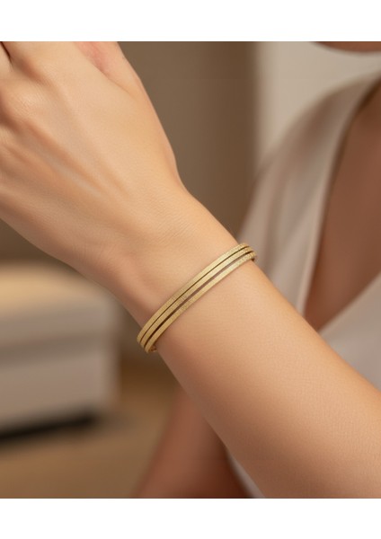 3'lü Simli 22 Ayar Altın Kaplama Ajda Çelik Bilezik fiyatları