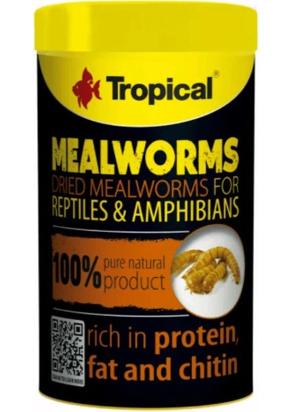 Meal Worms 100ML/13G