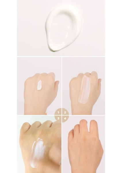 Borntree Berry Essence Sun Block SPF50+ Pa++++ 50 ml – Yüksek Koruma + Nemlendirici + Kore Güneş Kremi modelleri