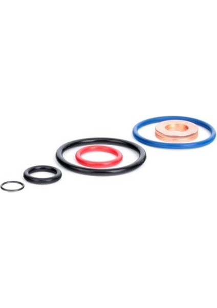 ENJEKTOR CONTA TAKIMI MEGANE IV KADJAR CAPTUR II MAIS 166189480R