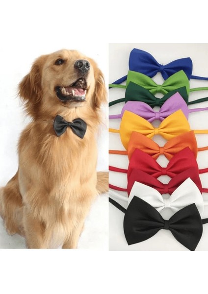 Kedi ve Köpekler Için Siyah Papyon Yaka fiyatları