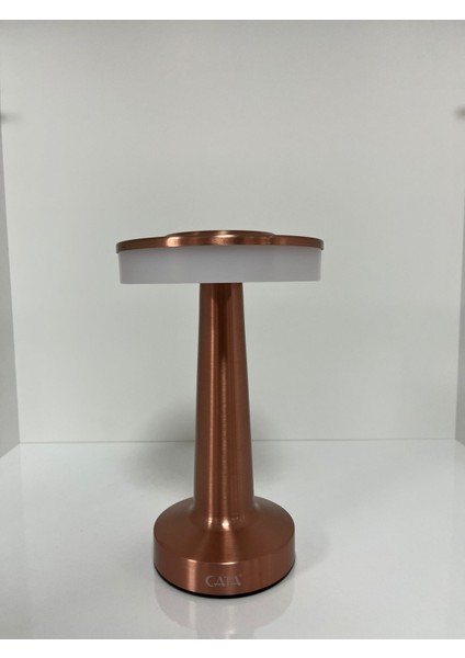 Oslo Şarjlı Masa Lambası