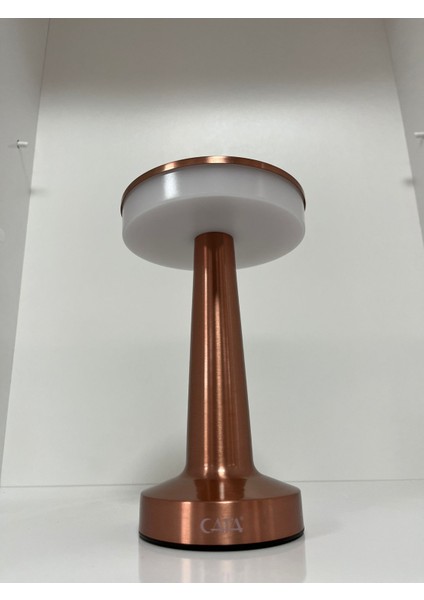 Oslo Şarjlı Masa Lambası fiyatları