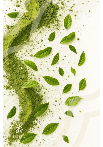 Şeker Otu Tozu 100% Doğal 100 gr – Kalorisiz & Katkısız Tatlandırıcı fiyatları