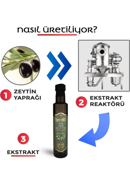 Zeytin Yaprağı Ekstraktı 250 ml fırsatları