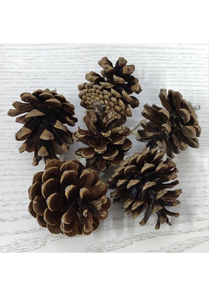 6'lı Kozalak Yılbaşı Ağaç Süsü