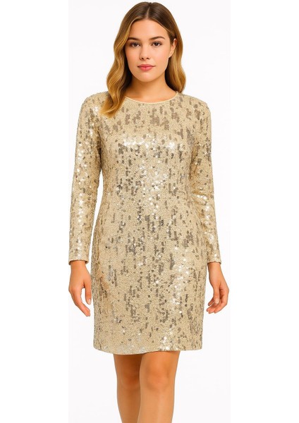 Kadın Büyük Beden Bej, Bisiklet Yaka, Pul Payet Işli Astarlı Abiye Elbise 65N39207