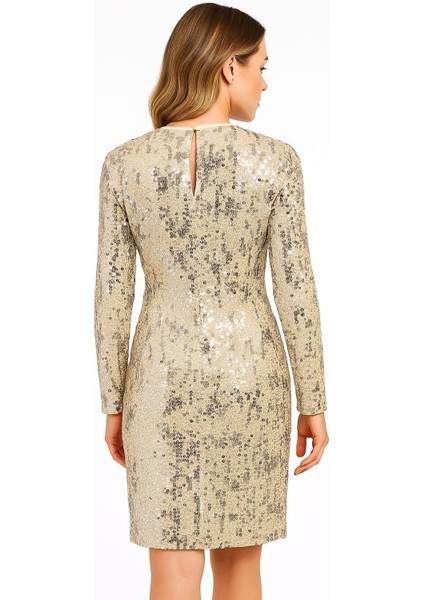 Kadın Büyük Beden Bej, Bisiklet Yaka, Pul Payet Işli Astarlı Abiye Elbise 65N39207 fiyatları