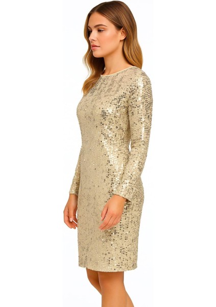 Kadın Büyük Beden Bej, Bisiklet Yaka, Pul Payet Işli Astarlı Abiye Elbise 65N39207 modelleri