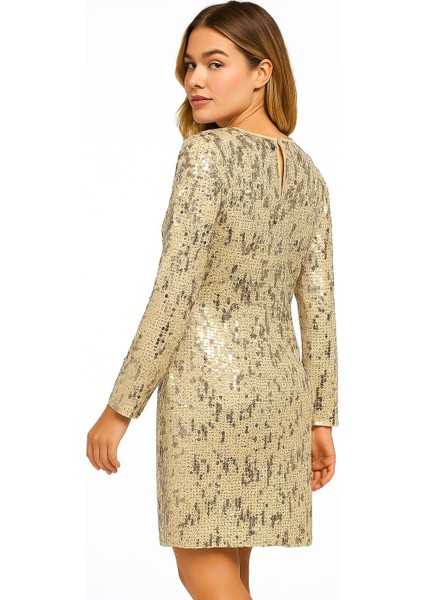 Kadın Büyük Beden Bej, Bisiklet Yaka, Pul Payet Işli Astarlı Abiye Elbise 65N39207 indirimleri