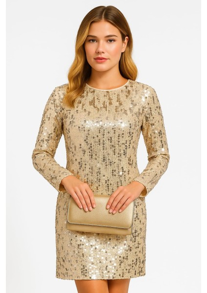 Kadın Büyük Beden Bej, Bisiklet Yaka, Pul Payet Işli Astarlı Abiye Elbise 65N39207