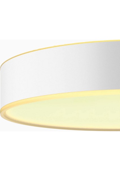 Hue White Ambiance Enrave Tavan Lambası S fiyatları