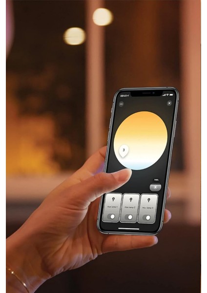 Hue White Ambiance Enrave Tavan Lambası S indirimleri