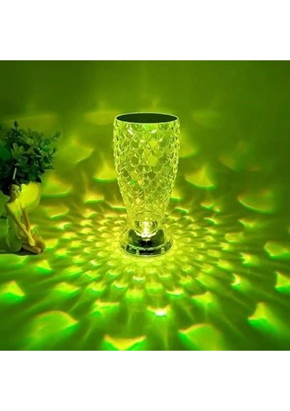 Balık Süzgeç Model USB Şarjlı Kumandalı 16FARKLI Işık Modlu Masa Üstü Kristal Akrilik LED modelleri