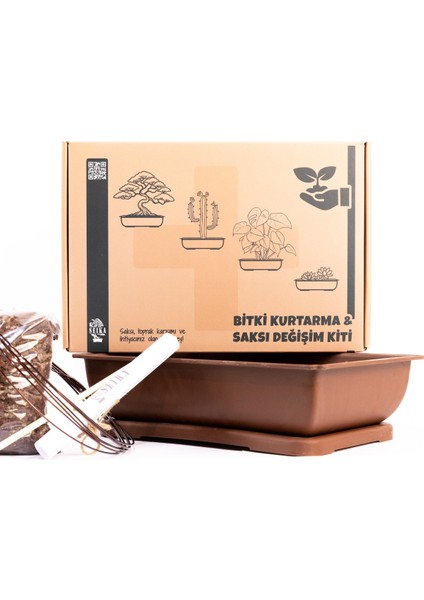 Bonsai Kurtarma ve Saksı Değişimi Kiti No.1 - Kahverengi