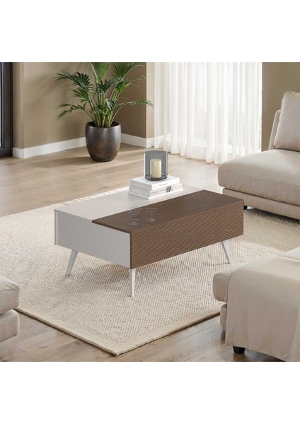 Milano Çekmeceli Dikdörtgen Orta Sehpa - Vizon/zebra 103X44X72 cm