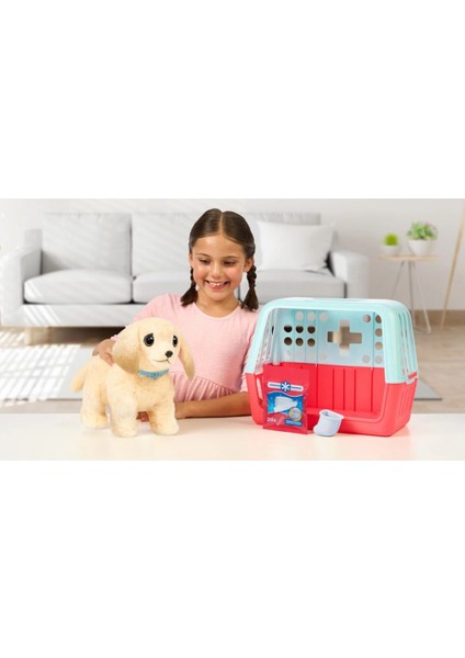 Llp Yavru Köpek Iyileşir fiyatları