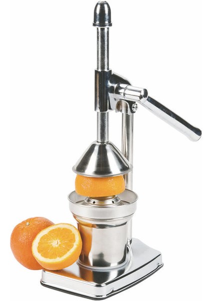 Çok Fonksiyonlu Basın Meyve Sebze Meyve Suyu Pres Makinesi (Yurt Dışından)