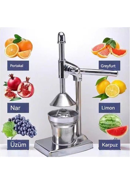 Çok Fonksiyonlu Basın Meyve Sebze Meyve Suyu Pres Makinesi (Yurt Dışından) fiyatları