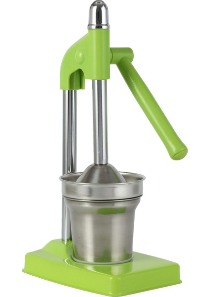 Çok Fonksiyonlu Basın Meyve Sebze Meyve Suyu Pres Makinesi (Yurt Dışından)