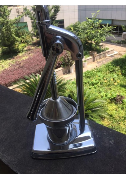 Çok Fonksiyonlu Basın Meyve Sebze Meyve Suyu Pres Makinesi (Yurt Dışından) indirimleri