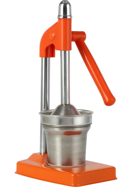 Çok Fonksiyonlu Basın Meyve Sebze Meyve Suyu Pres Makinesi (Yurt Dışından)