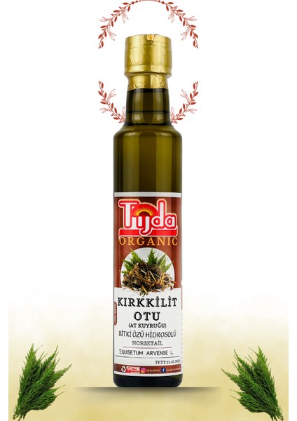 Kırkkilit Otu Özü (At Kuyruğu) (Equisetum Arvense L.) (Kırk Kilit) 250 ml