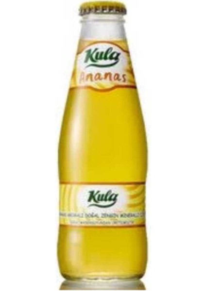 Ananas Aromalı Doğal Mineralli Maden Suyu 200 ml x 24 Cam Şişe (6 x 4’lü Paket) fiyatları