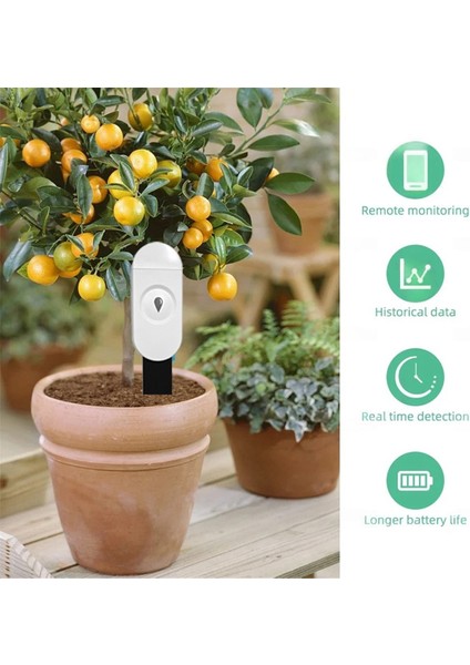 Akıllı Toprak Test Cihazı Dedektörü Nem Sıcaklık Nem Sensörü Uygulama Monitörü Bitki Bahçesi Otomatik Sulama Sistemi (Yurt Dışından) modelleri