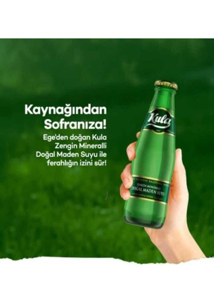 Ferahlatıcı Doğal Mineralli Maden Suyu – 6 Adet 4’lü Paket (24 Şişe) modelleri