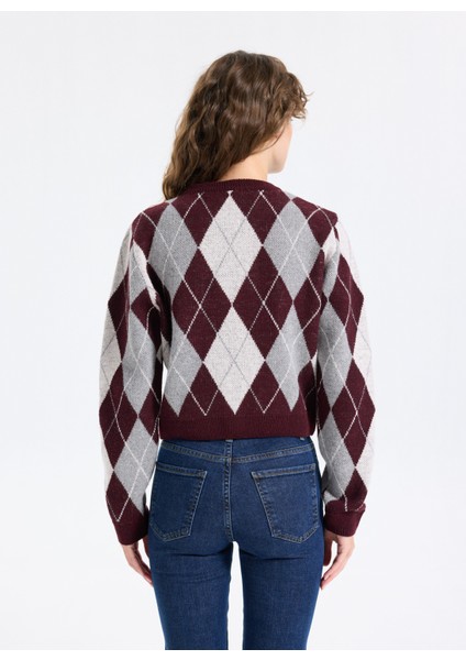 Bordo Kadın Hırka J5WL-HRK7164 indirimleri