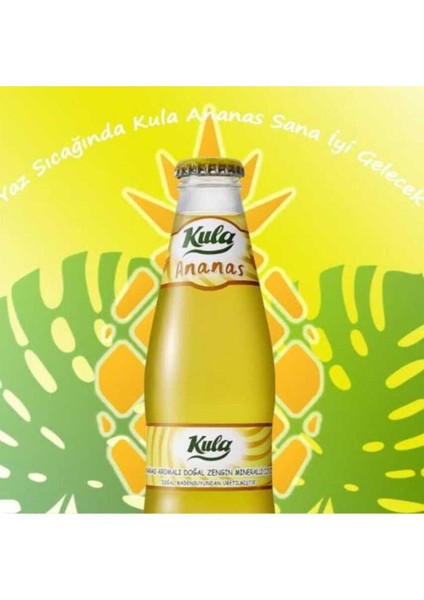 Ananas Aromalı Doğal Mineralli Maden Suyu 200 ml x 24 Cam Şişe (6 x 4’lü Paket)