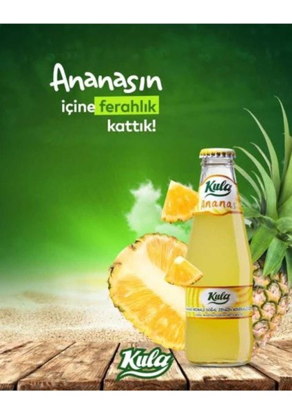 Ananas Aromalı Doğal Mineralli Maden Suyu 200 ml x 24 Cam Şişe (6 x 4’lü Paket) modelleri