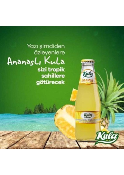 Ananas Aromalı Doğal Mineralli Maden Suyu 200 ml x 24 Cam Şişe (6 x 4’lü Paket) fırsatları