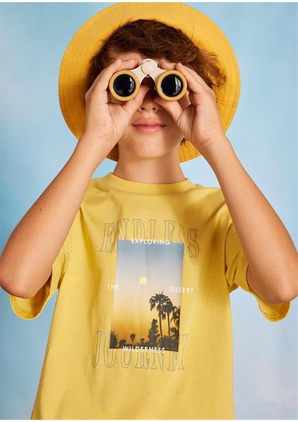 Erkek Çocuk Yazlık Tişört Şort 2 Li Set 6679 fiyatları