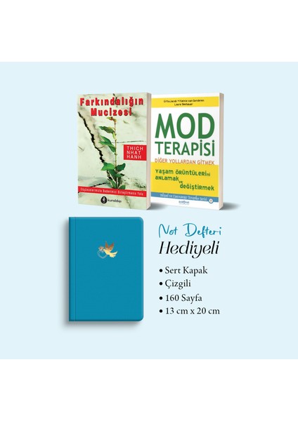 Farkındalığın Mucizesi - Mod Terapisi/gitta Jacob