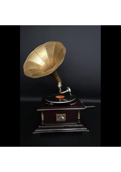 Gramofon Plakçalar Ahşap Kare Köşeleri Bronz Işli Kurmalı ASIG501 fiyatları