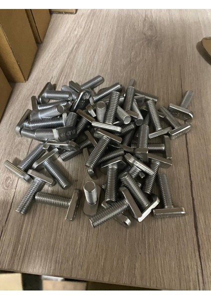 Paslanmaz T Cıvata modelleri