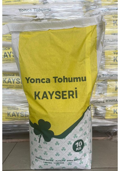 Msa Tohumculuk Kayseri Kaplamalı Yonca Tohumu 10 kg Soguga Dayanıklı