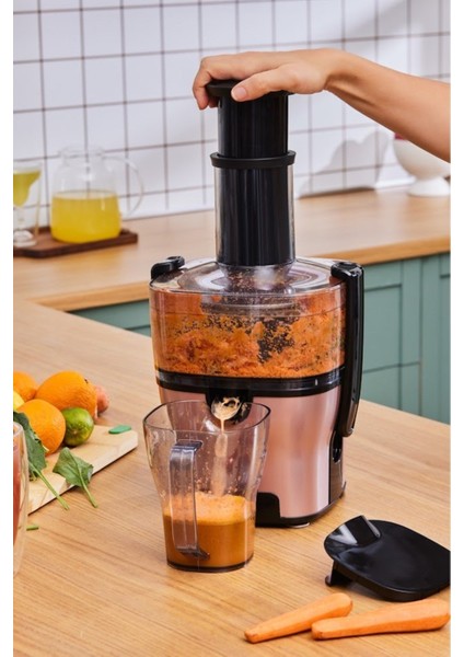 Taze Meyve Suyu ve Sebze Suyu Katı Meyve Sıkacağı -1500 W Motor Gücüyle Sert Meyve ve Sebzeleri Bile Kolayca Işler modelleri