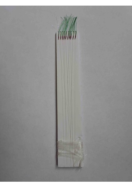 10 Igneli Istavrit Çaparisi Yeşil fiyatları