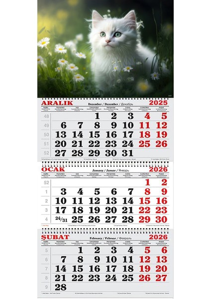 2026 Yılı Gemici Takvimi- Papatyalar ve Beyaz Kedi