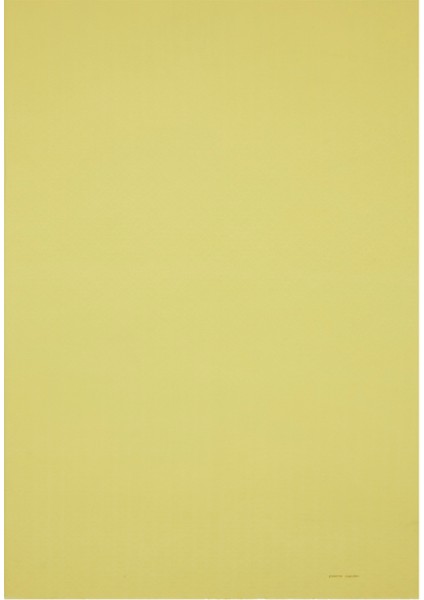 75X190 cm K.pierre Cardin Logolu Ipek Koton Jakar Etol