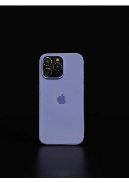 iPhone 11 Uyumlu Renkli Logo Içi Kadife Lüks Lansman Kılıf