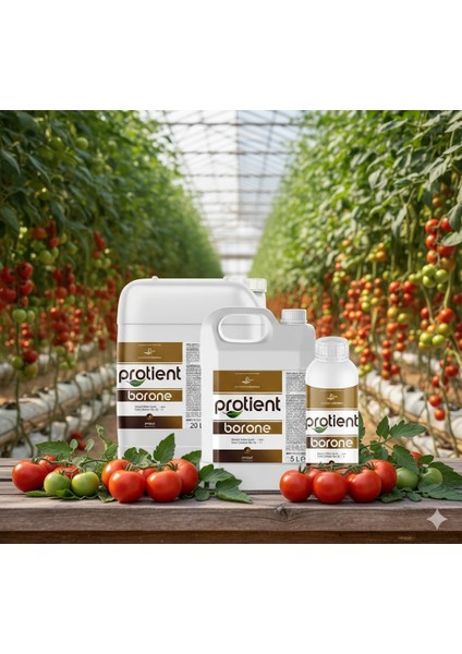 Protıent Borone B:11 Etanol Amin Şelatlı Sıvı Bor Gübresi 1 Lt – Bor Eksikliğine Karşı Etkili Çözüm fiyatları