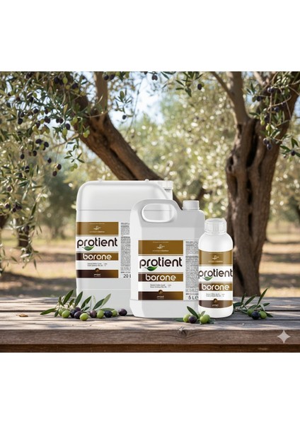 Protıent Borone B:11 Etanol Amin Şelatlı Sıvı Bor Gübresi 1 Lt – Bor Eksikliğine Karşı Etkili Çözüm modelleri