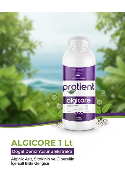 Algıcore 1 Lt – Doğal Deniz Yosunu Ekstraktı | Alginik Asit, Sitokinin ve Giberellin Içerikli Bitki Geliştirici fiyatları