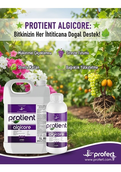 Algıcore 1 Lt – Doğal Deniz Yosunu Ekstraktı | Alginik Asit, Sitokinin ve Giberellin Içerikli Bitki Geliştirici fırsatları