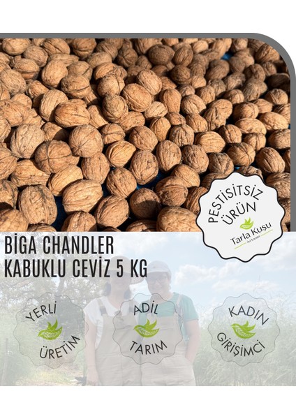 Biga Chandler Kabuklu Ceviz 5 kg (Tarla Kuşu, Ilaçsız, Doğal Üretim, Yeni Hasat)